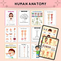20000+ Kids Learning Worksheet Bundle My Store